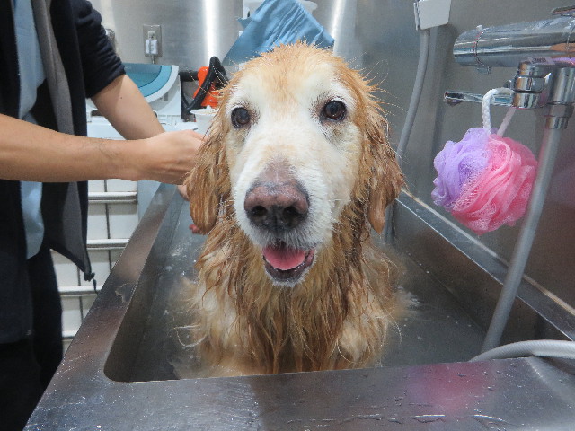 ファイル 5449-5.jpg