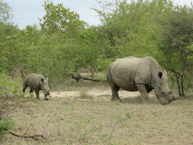 ファイル 5454-1.jpg