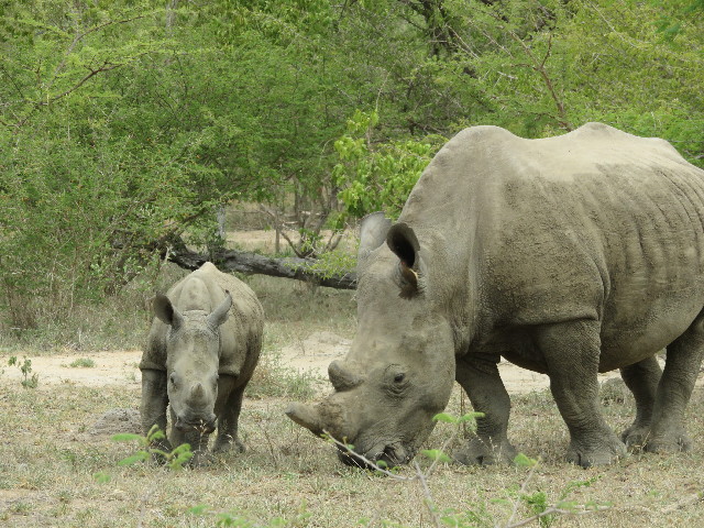 ファイル 5454-2.jpg