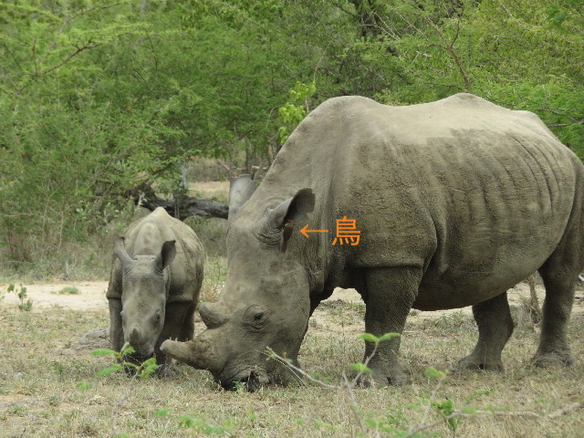 ファイル 5454-4.jpg