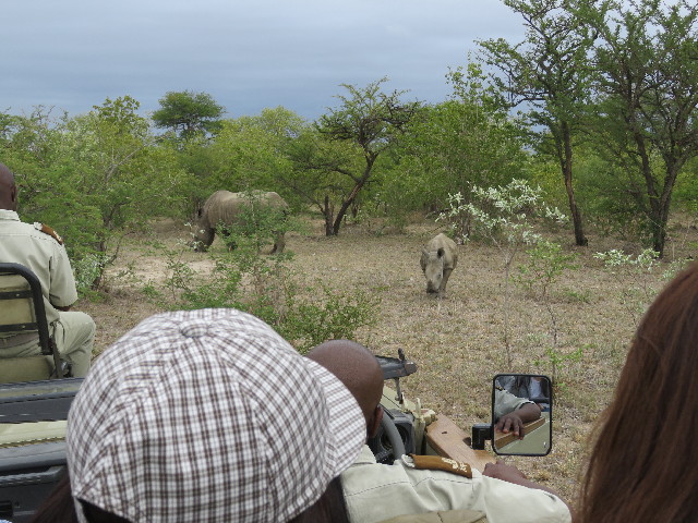 ファイル 5454-5.jpg