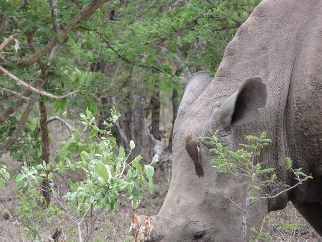 ファイル 5455-2.jpg