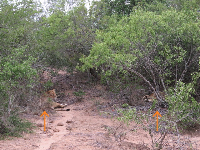 ファイル 5457-1.jpg