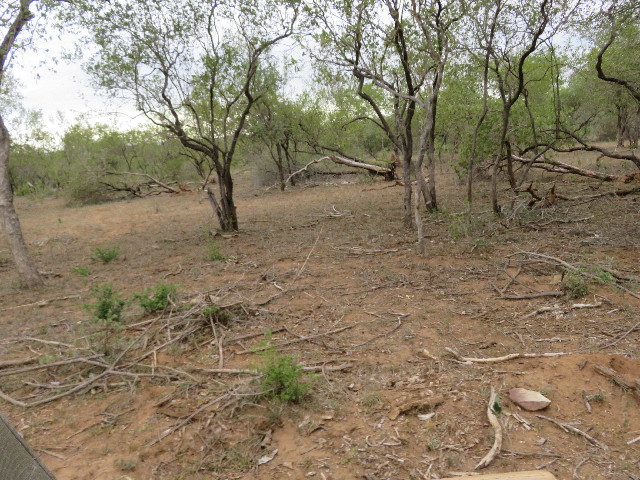 ファイル 5457-3.jpg