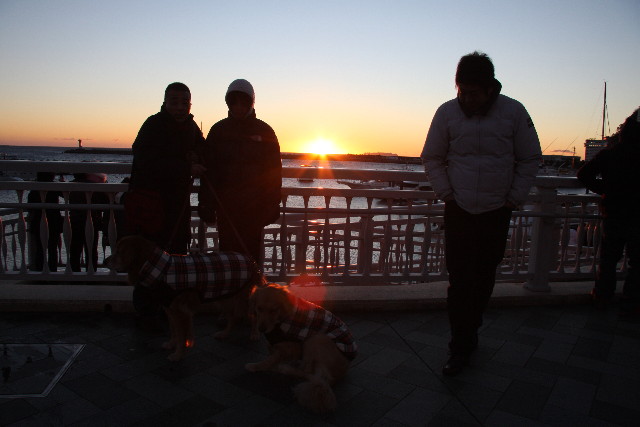 ファイル 546-3.jpg