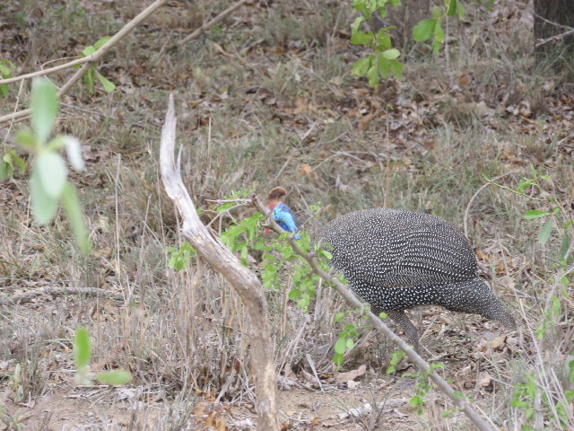 ファイル 5461-2.jpg