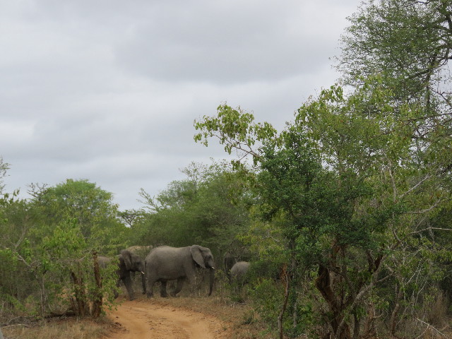 ファイル 5463-1.jpg