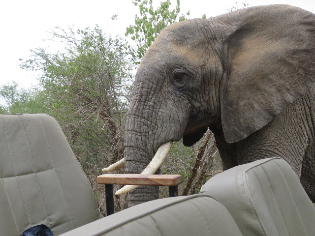 ファイル 5465-2.jpg