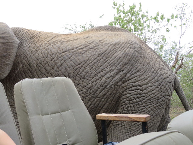 ファイル 5465-3.jpg