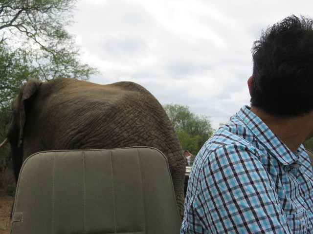 ファイル 5465-4.jpg