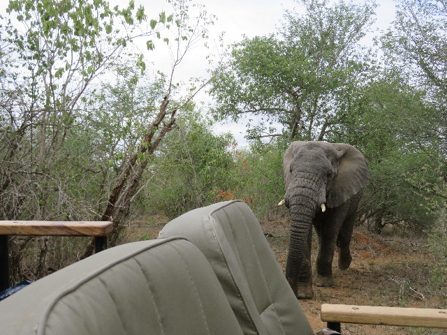 ファイル 5465-5.jpg