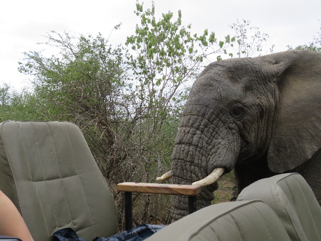 ファイル 5466-1.jpg