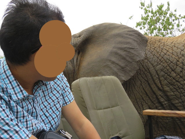 ファイル 5466-2.jpg