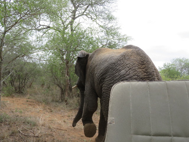 ファイル 5466-4.jpg