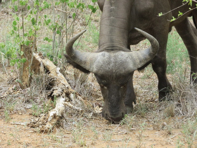 ファイル 5467-3.jpg