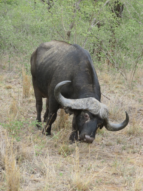 ファイル 5467-5.jpg