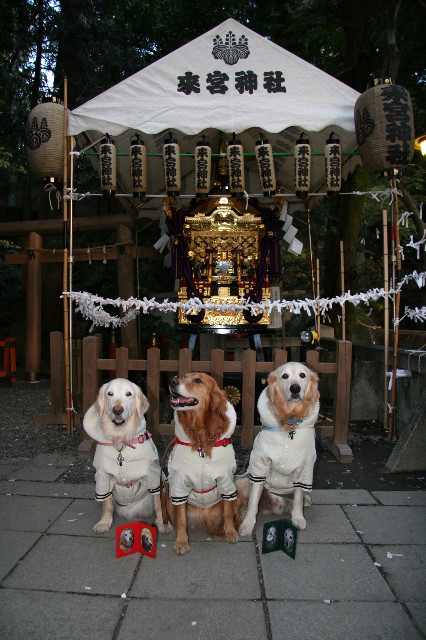 ファイル 5469-4.jpg