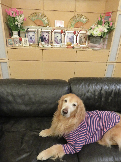 ファイル 5469-5.jpg