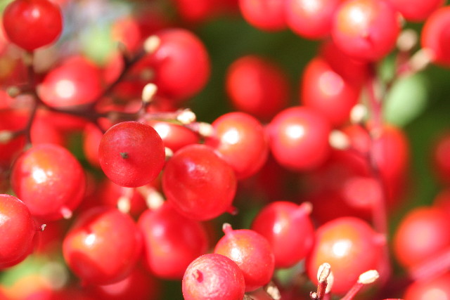 ファイル 547-5.jpg