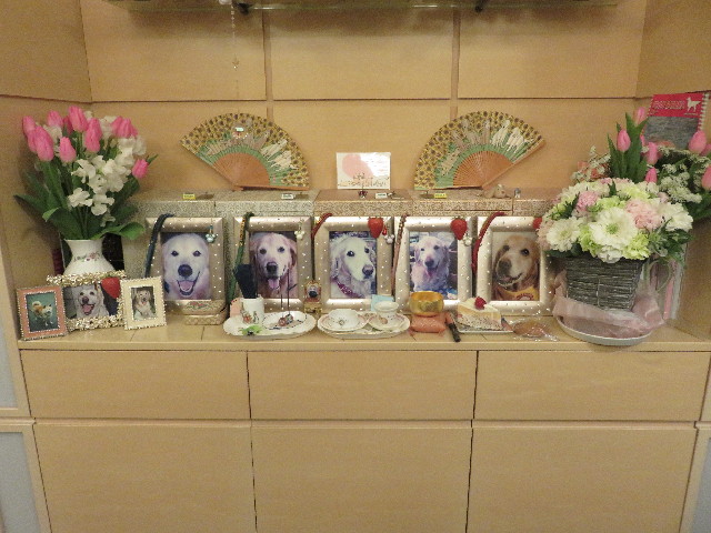 ファイル 5470-1.jpg