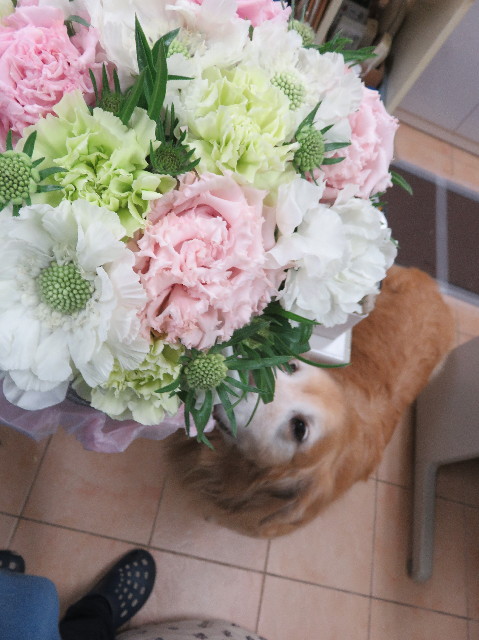 ファイル 5470-2.jpg