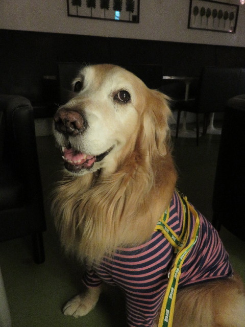 ファイル 5470-5.jpg