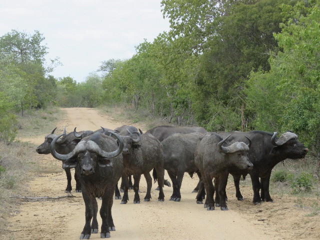 ファイル 5471-4.jpg