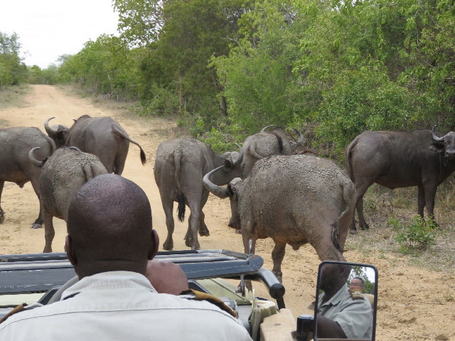 ファイル 5471-5.jpg