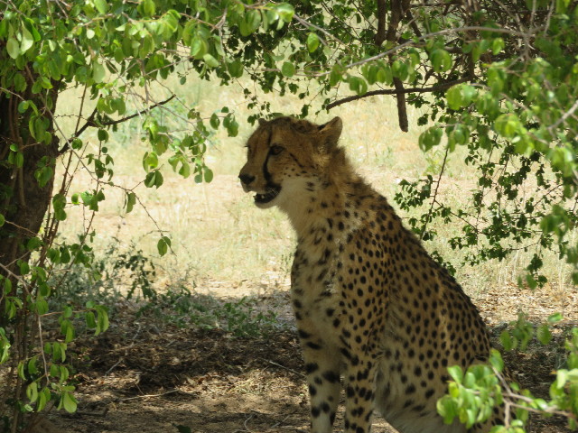 ファイル 5472-5.jpg