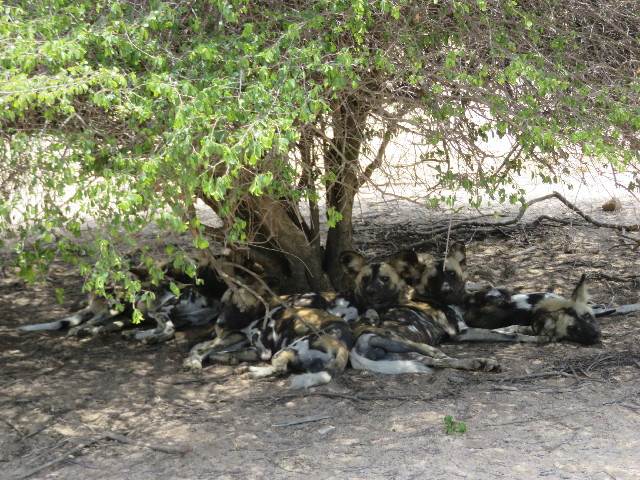 ファイル 5473-1.jpg