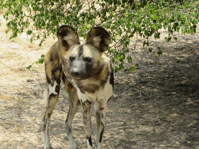 ファイル 5473-4.jpg