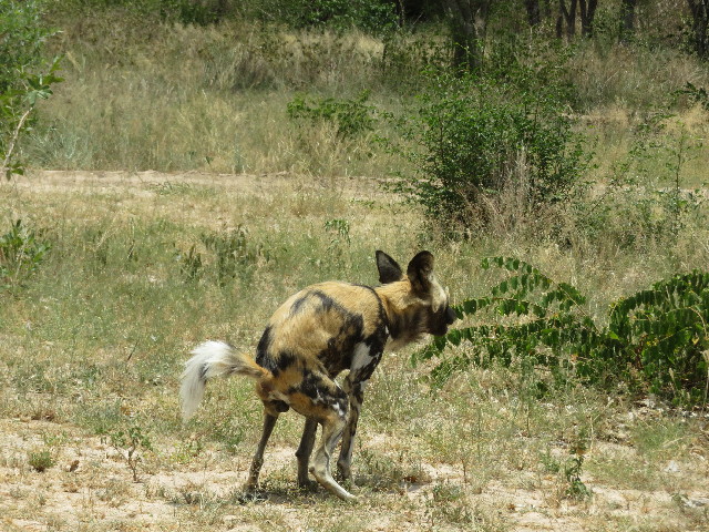 ファイル 5473-5.jpg