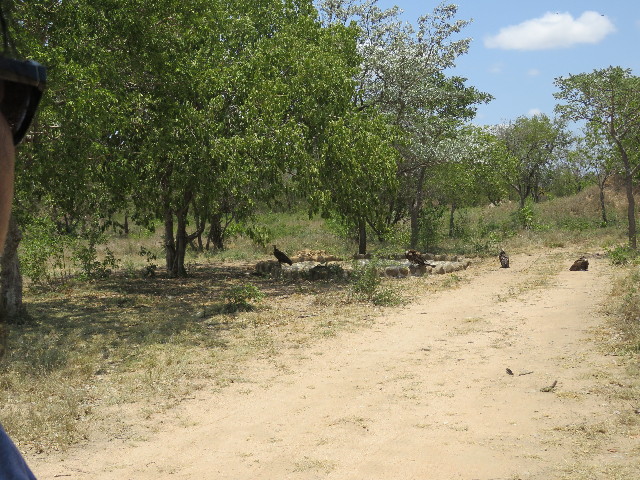 ファイル 5476-2.jpg