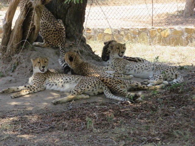 ファイル 5477-2.jpg