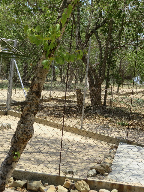 ファイル 5477-3.jpg