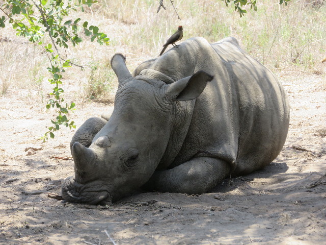 ファイル 5478-5.jpg