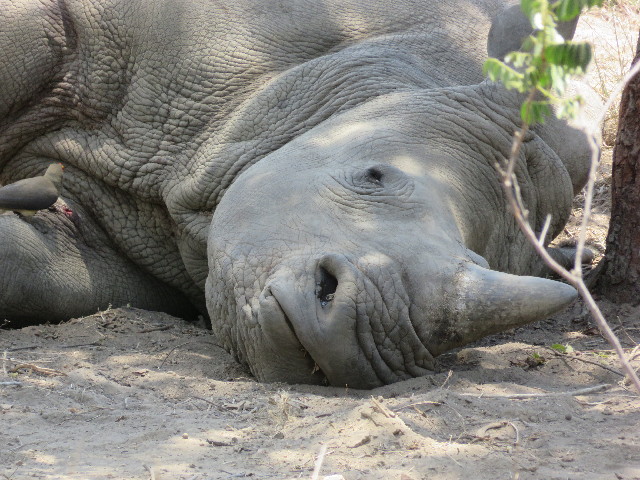 ファイル 5479-2.jpg