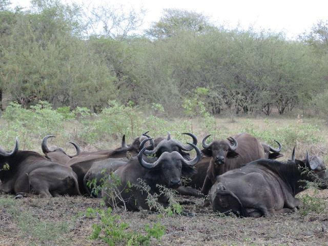 ファイル 5479-4.jpg