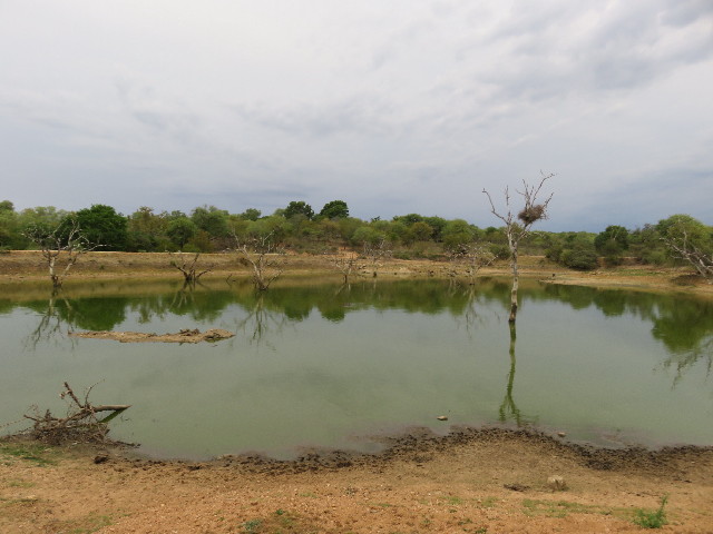 ファイル 5483-1.jpg