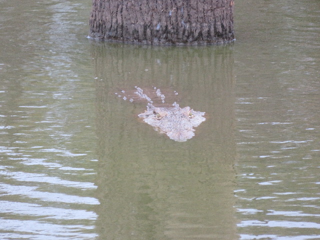 ファイル 5483-2.jpg