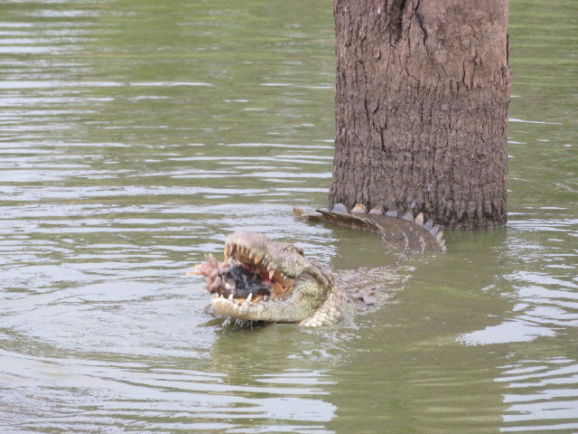 ファイル 5483-4.jpg