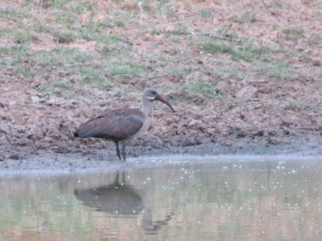 ファイル 5483-5.jpg