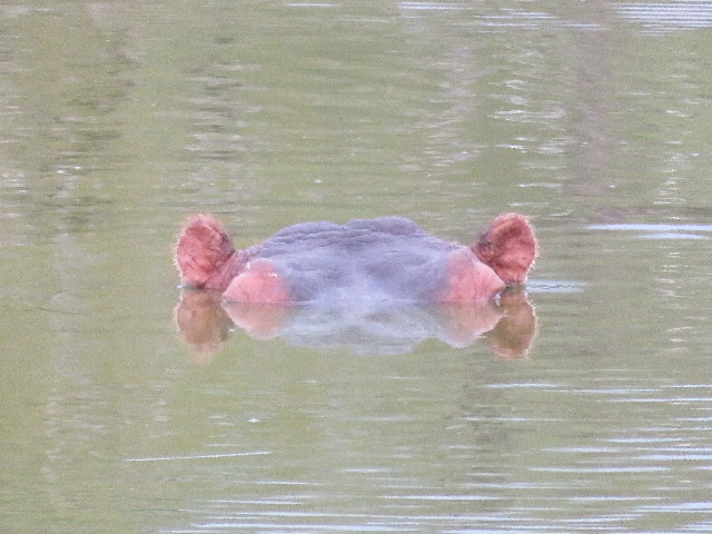 ファイル 5484-2.jpg