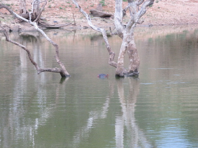 ファイル 5484-3.jpg