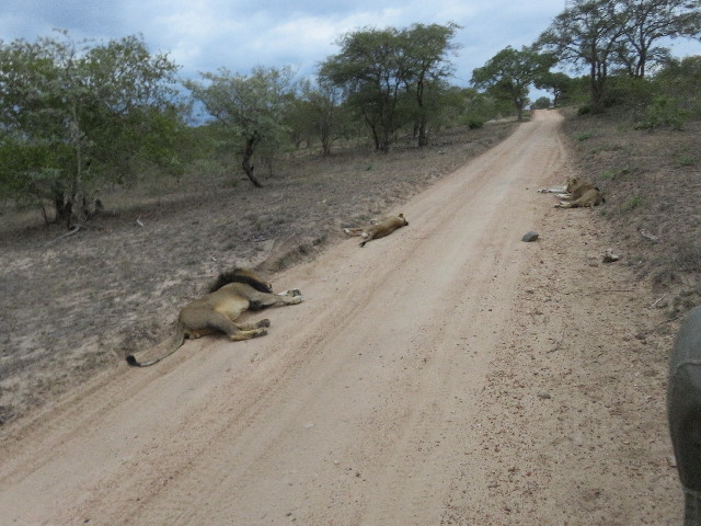 ファイル 5486-1.jpg