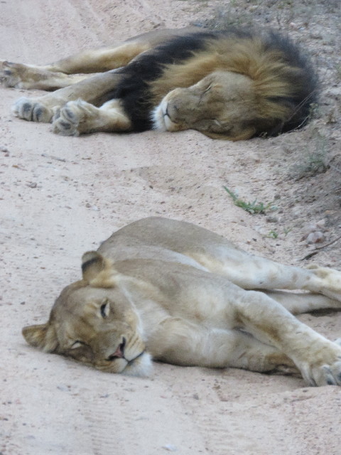 ファイル 5486-3.jpg