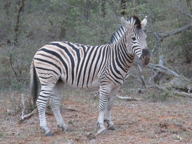 ファイル 5486-4.jpg