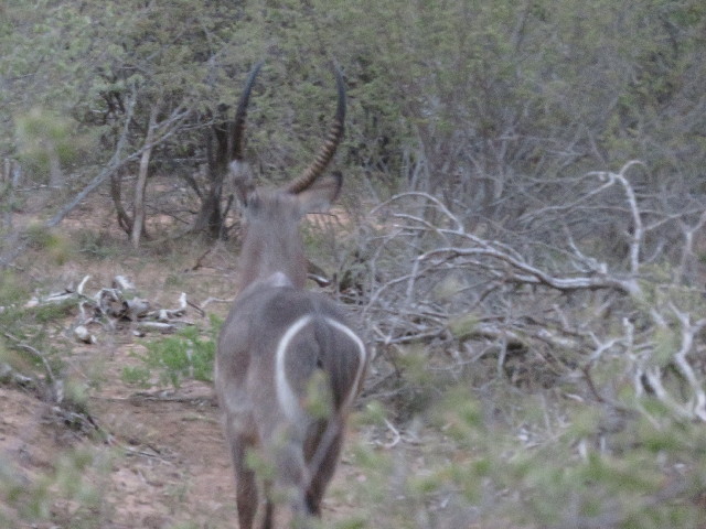 ファイル 5488-1.jpg