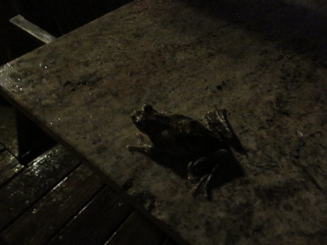 ファイル 5488-4.jpg