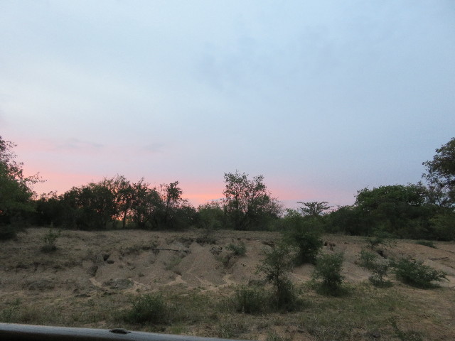 ファイル 5489-1.jpg